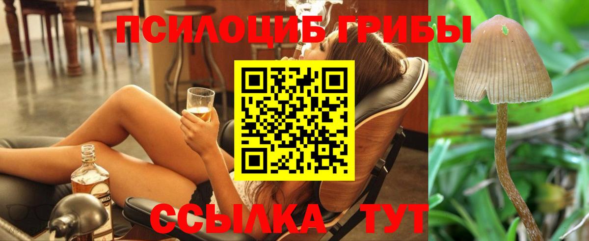Ликино-Дулёво  Галлюциногенные грибы Magic Shrooms  Галлюциногенные грибы прущие грибы  Вход с VPN 
